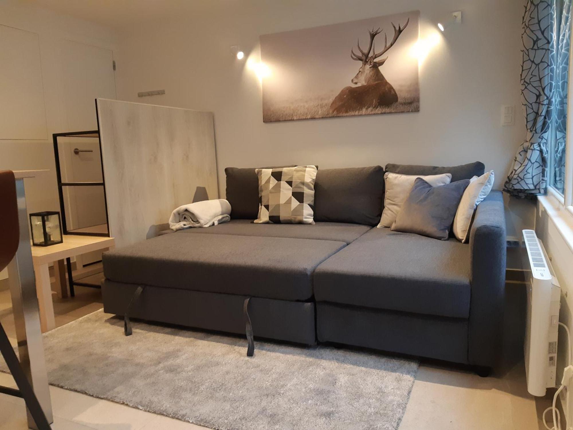 Terrasses De Malmedy F&L Triplex 214 Et Studio 320 Et 317 Et Studio Superieur 340 客房 照片