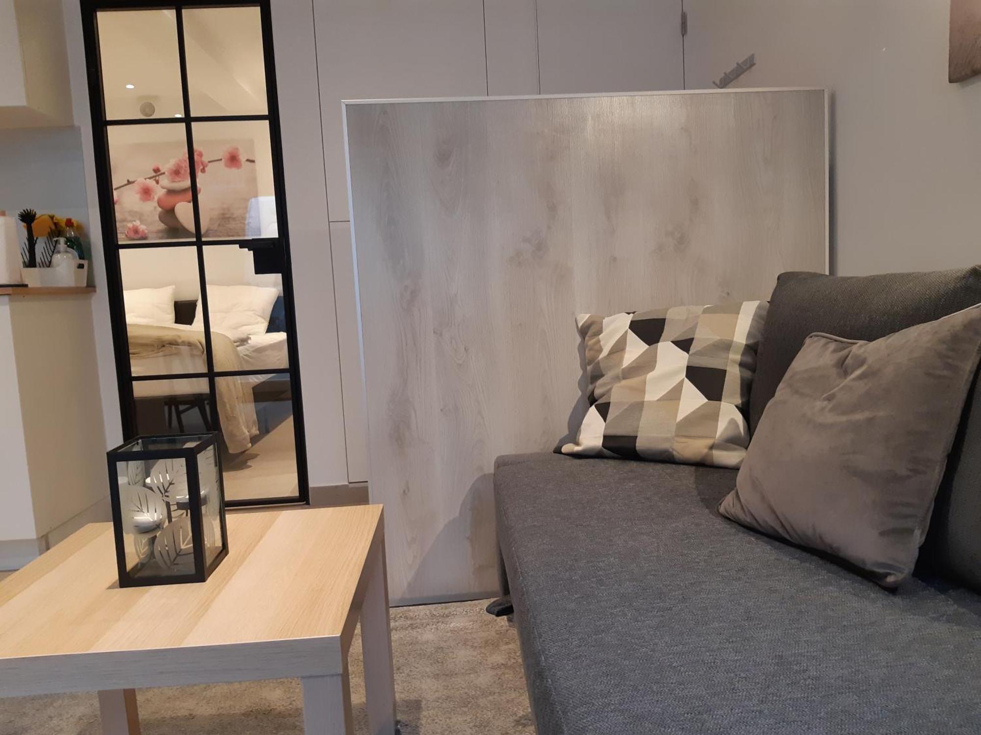 Terrasses De Malmedy F&L Triplex 214 Et Studio 320 Et 317 Et Studio Superieur 340 客房 照片