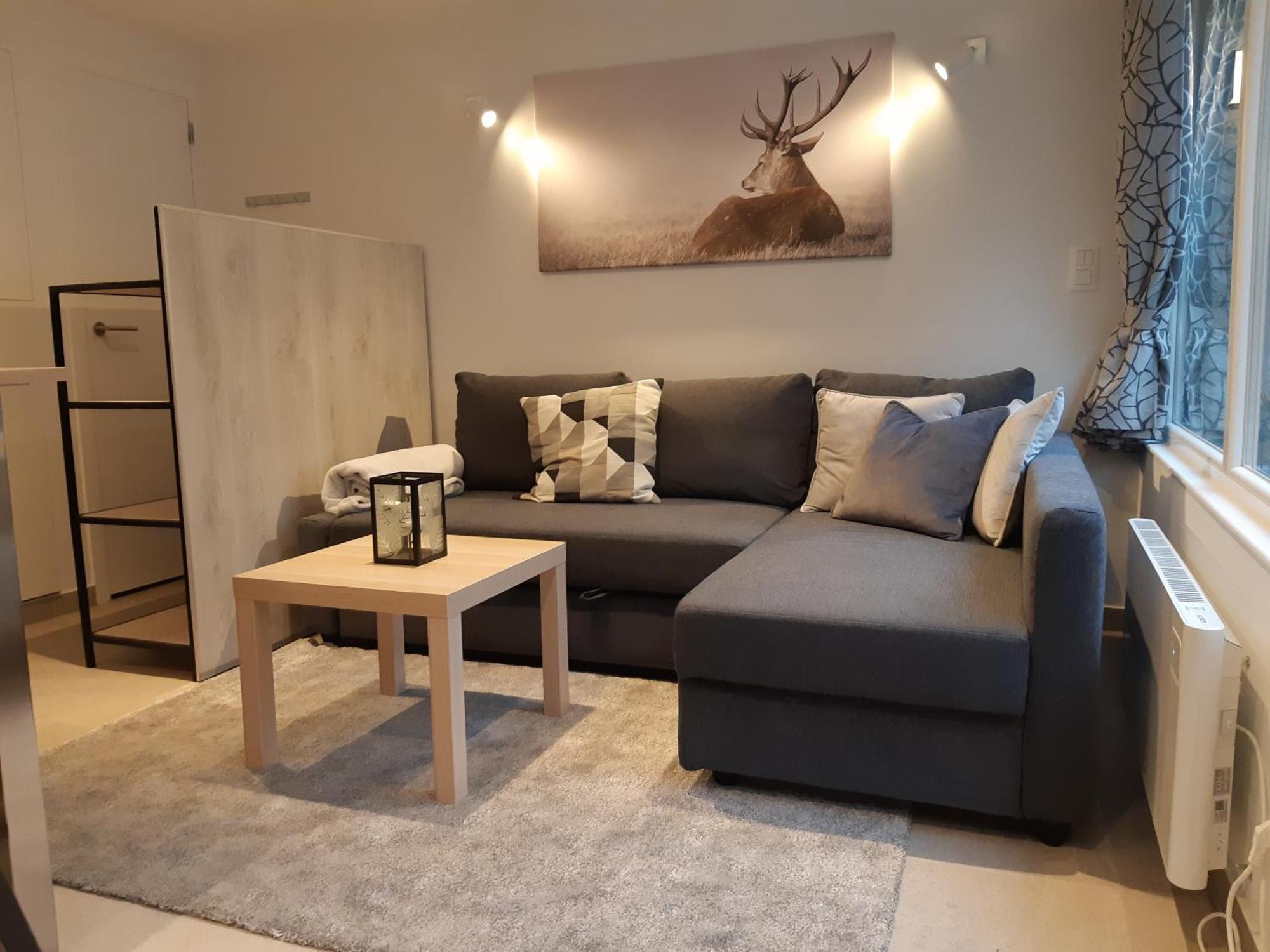 Terrasses De Malmedy F&L Triplex 214 Et Studio 320 Et 317 Et Studio Superieur 340 客房 照片